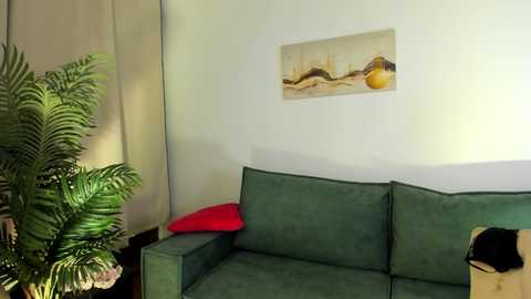 alika_shy @ chaturbate on 20241024