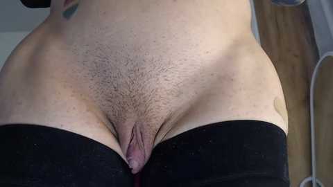 bigclitti @ chaturbate on 20241024