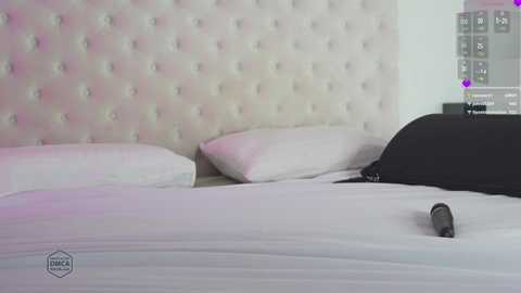 kissing33 @ chaturbate on 20241024