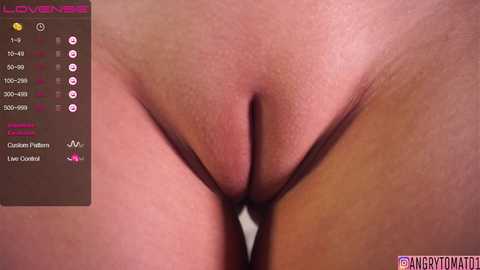 angry_tomato_ @ chaturbate on 20241025