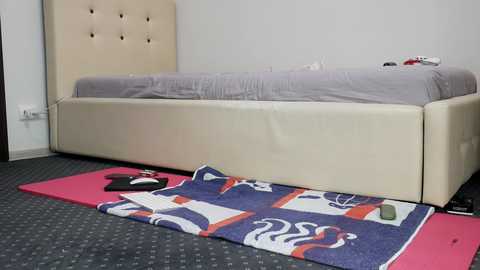 carmela_fox @ chaturbate on 20241025