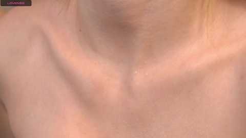 refined_style @ chaturbate on 20241025