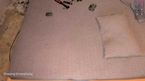 theanytimeshow @ chaturbate on 20241025