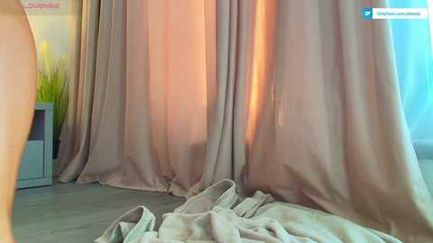 aliessia @ chaturbate on 20241026