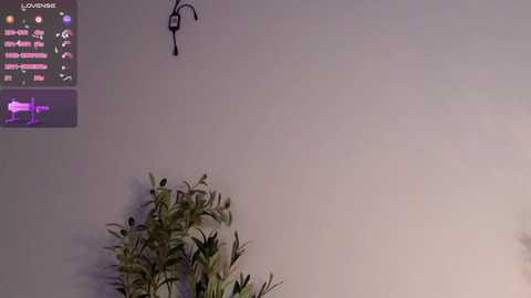 amandachau @ chaturbate on 20241026