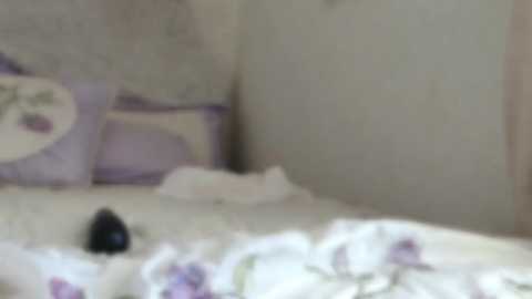 littlegreekflower @ chaturbate on 20241026