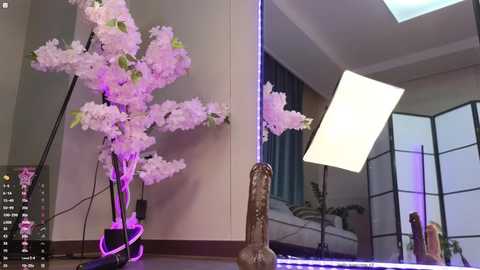 marry_cordy @ chaturbate on 20241026