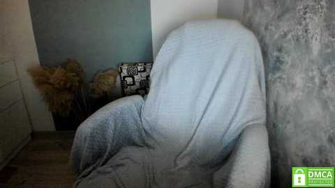 aliaa_ @ chaturbate on 20241027