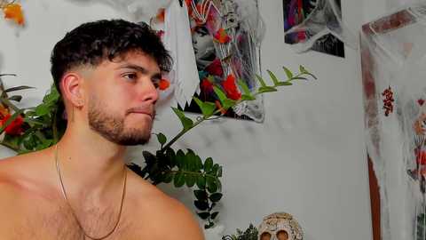 noha_miler @ chaturbate on 20241027