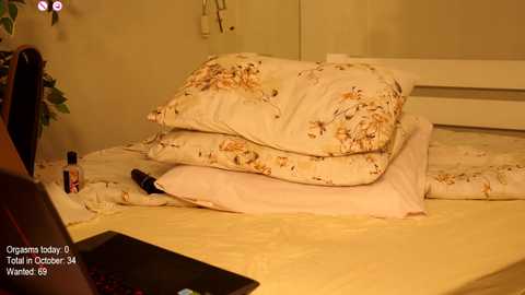 ronny_ponny @ chaturbate on 20241027