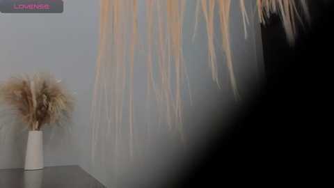 stella_nova69