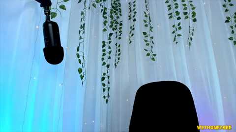 wethoneybee @ chaturbate on 20241027