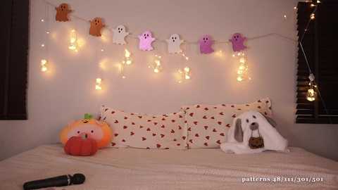 bunnybonn1e @ chaturbate on 20241028