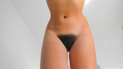 bush_woman @ chaturbate on 20241028