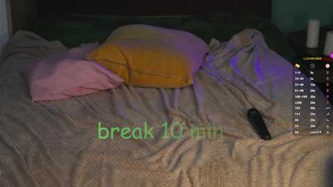 dina_meat @ chaturbate on 20241028