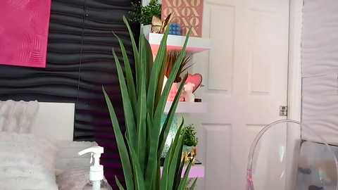 kateskurves @ chaturbate on 20241028