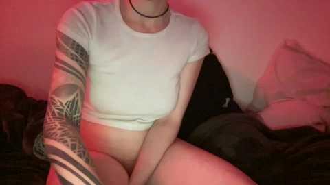 meoworb3 @ chaturbate on 20241028