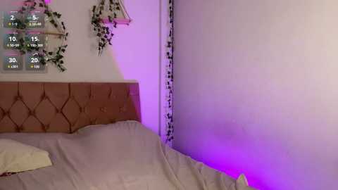 one_more_cum @ chaturbate on 20241028