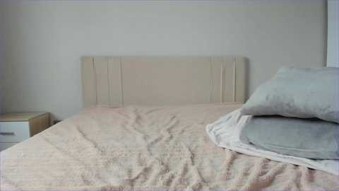 sweety_vikky @ chaturbate on 20241028