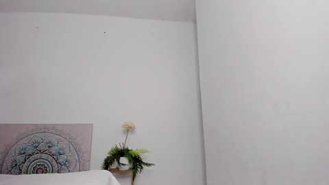 effie_castro0