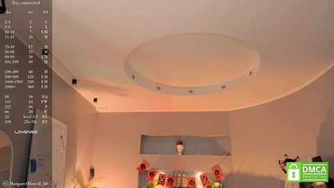 margarethowell @ chaturbate on 20241029