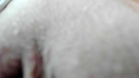 courtney_luv @ chaturbate on 20241030