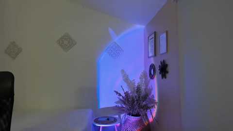ohanna_ @ chaturbate on 20241030