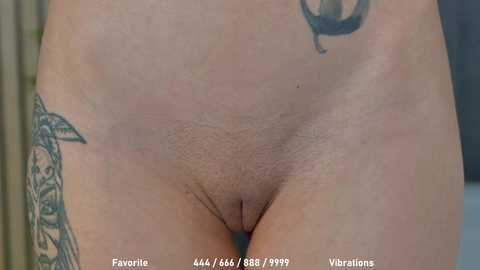 celestara @ chaturbate on 20241031