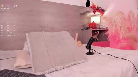 victoria__rossi @ chaturbate on 20241031