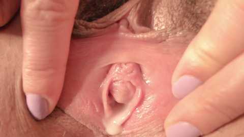 aluqua @ chaturbate on 20241101