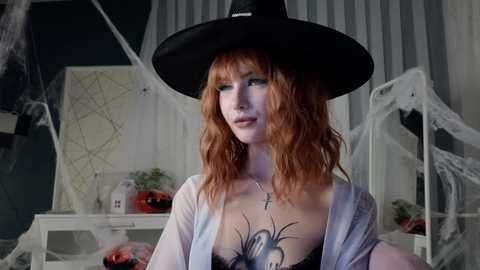 bmwm5f90 @ chaturbate on 20241101