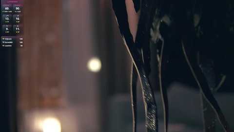 inkanuko @ chaturbate on 20241101