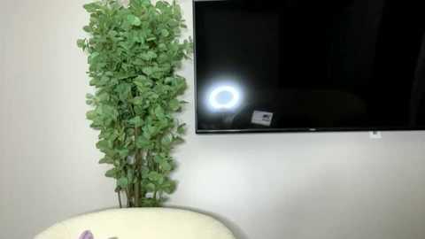 itsfrancesca @ chaturbate on 20241101