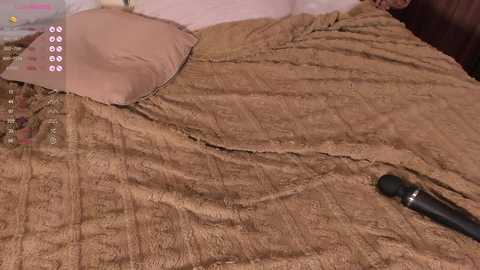 joannehudson @ chaturbate on 20241101