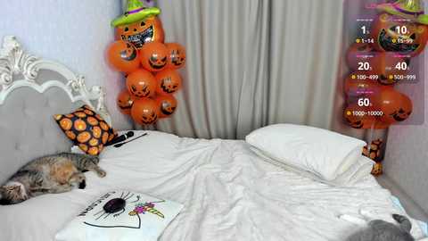 missblondecutie @ chaturbate on 20241101