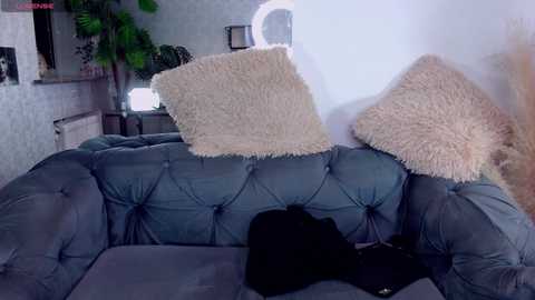 sw33tie_tom @ chaturbate on 20241101