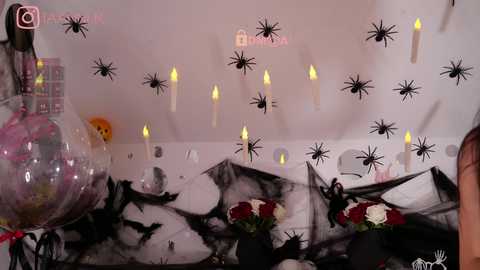 taanni_bc @ chaturbate on 20241101