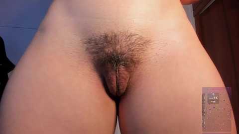 yahaira_26 @ chaturbate on 20241101