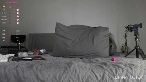 diana_rotor @ chaturbate on 20241102