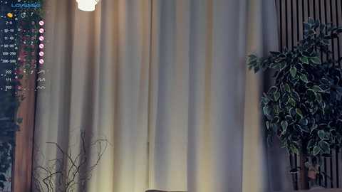 hinatabroks @ chaturbate on 20241102