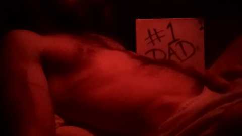number1dad_