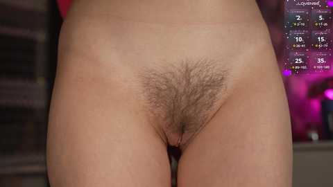 orsonhot @ chaturbate on 20241102