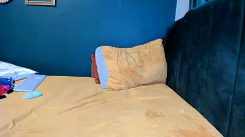 ella_la @ chaturbate on 20241103