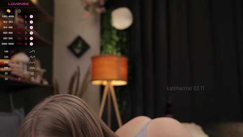 kateharrise @ chaturbate on 20241103