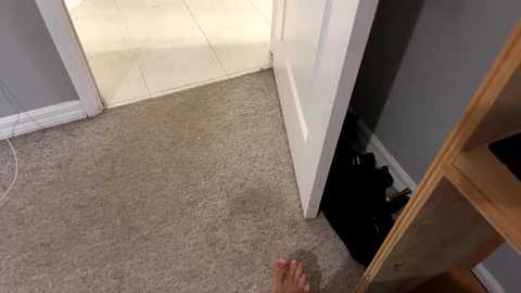 prettyflyforawhiteguy321 @ chaturbate on 20241103