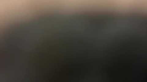 prettyflyforawhiteguy321 @ chaturbate on 20241103