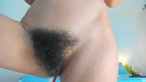 bush_woman @ chaturbate on 20241104