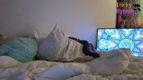 tricky_nymph @ chaturbate on 20241104