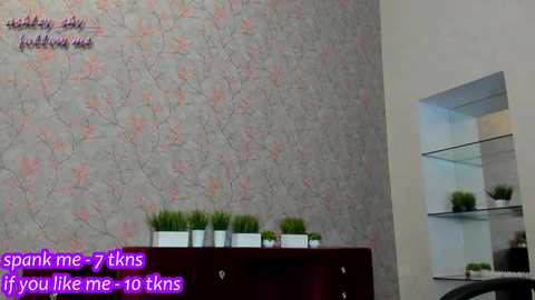 ashley_shy__