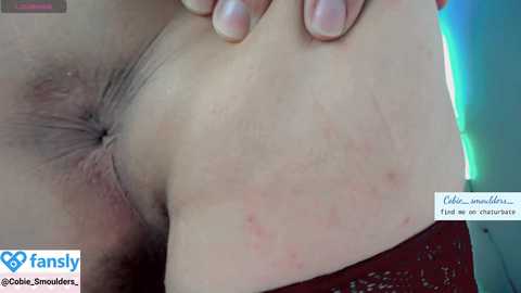 cobie_smoulders_ @ chaturbate on 20241105